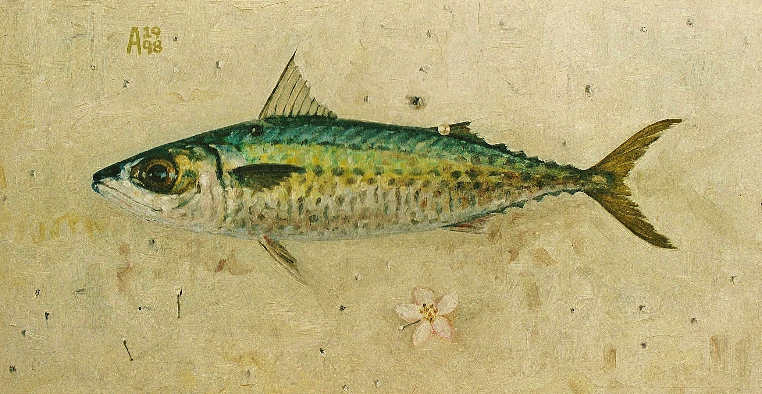 Slimy Mackerel 