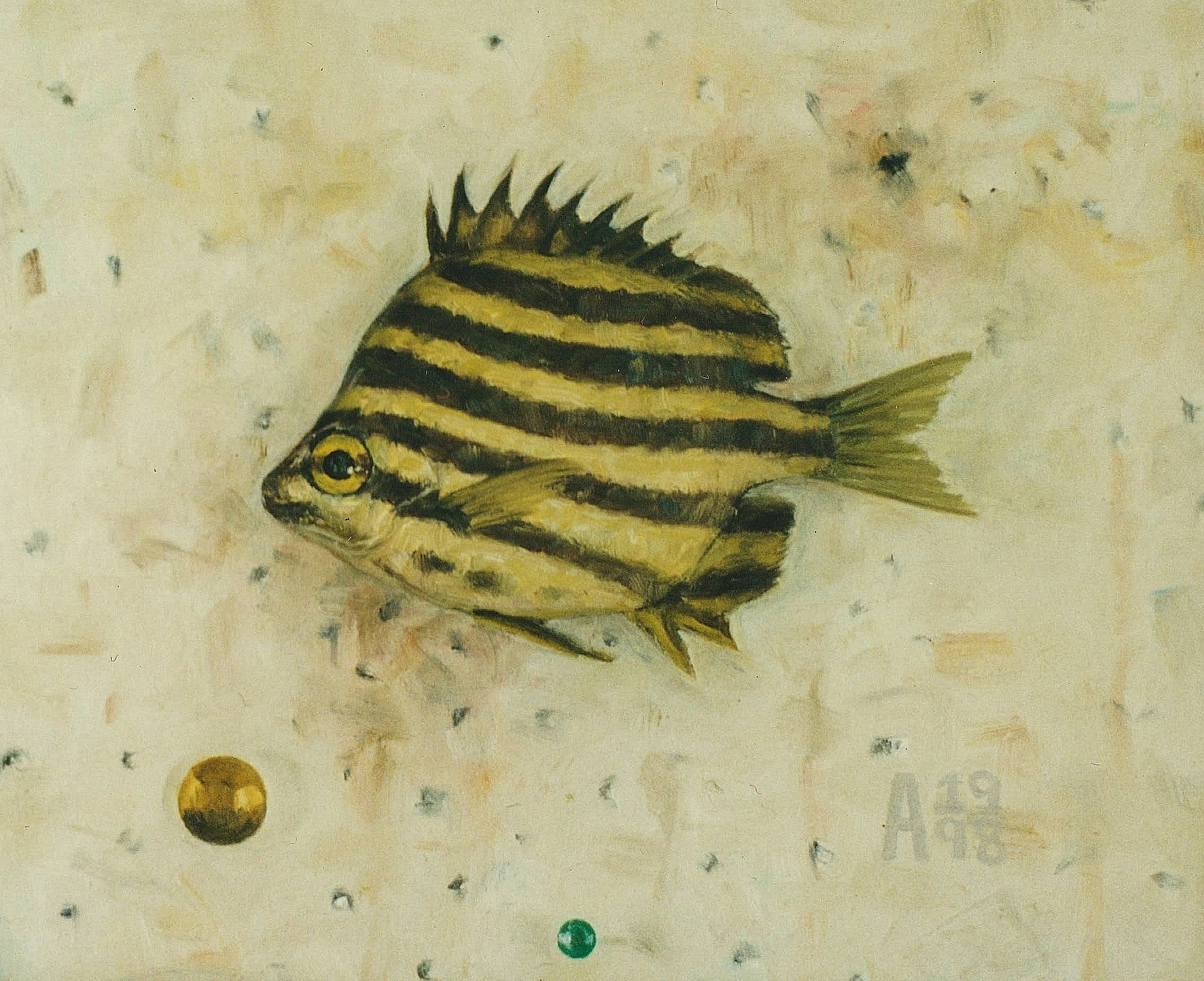 Stripey