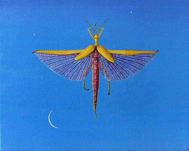 The Phasmid