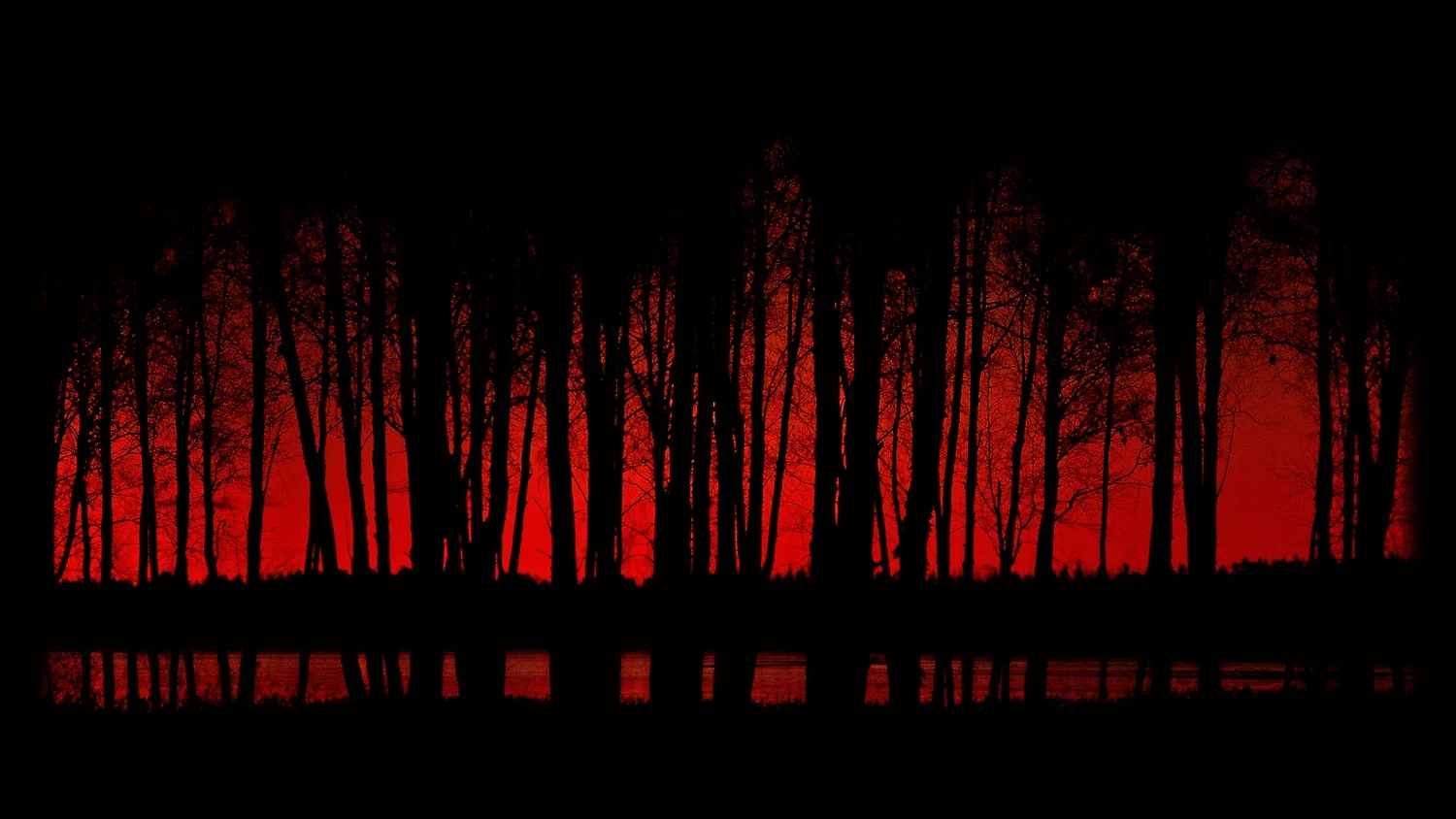 Dark-Forest-31.jpg