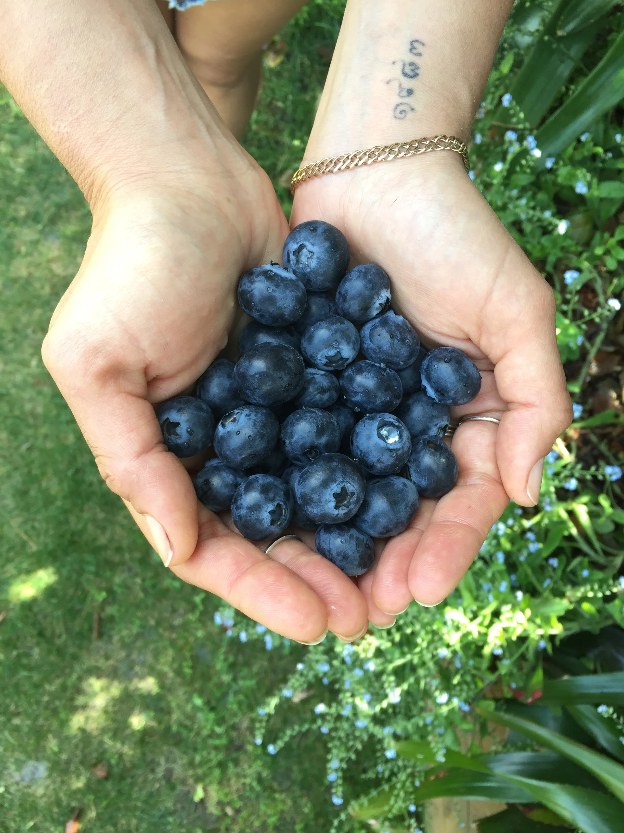 Balance your hormones by eating a delicious anti-inflammatory diet