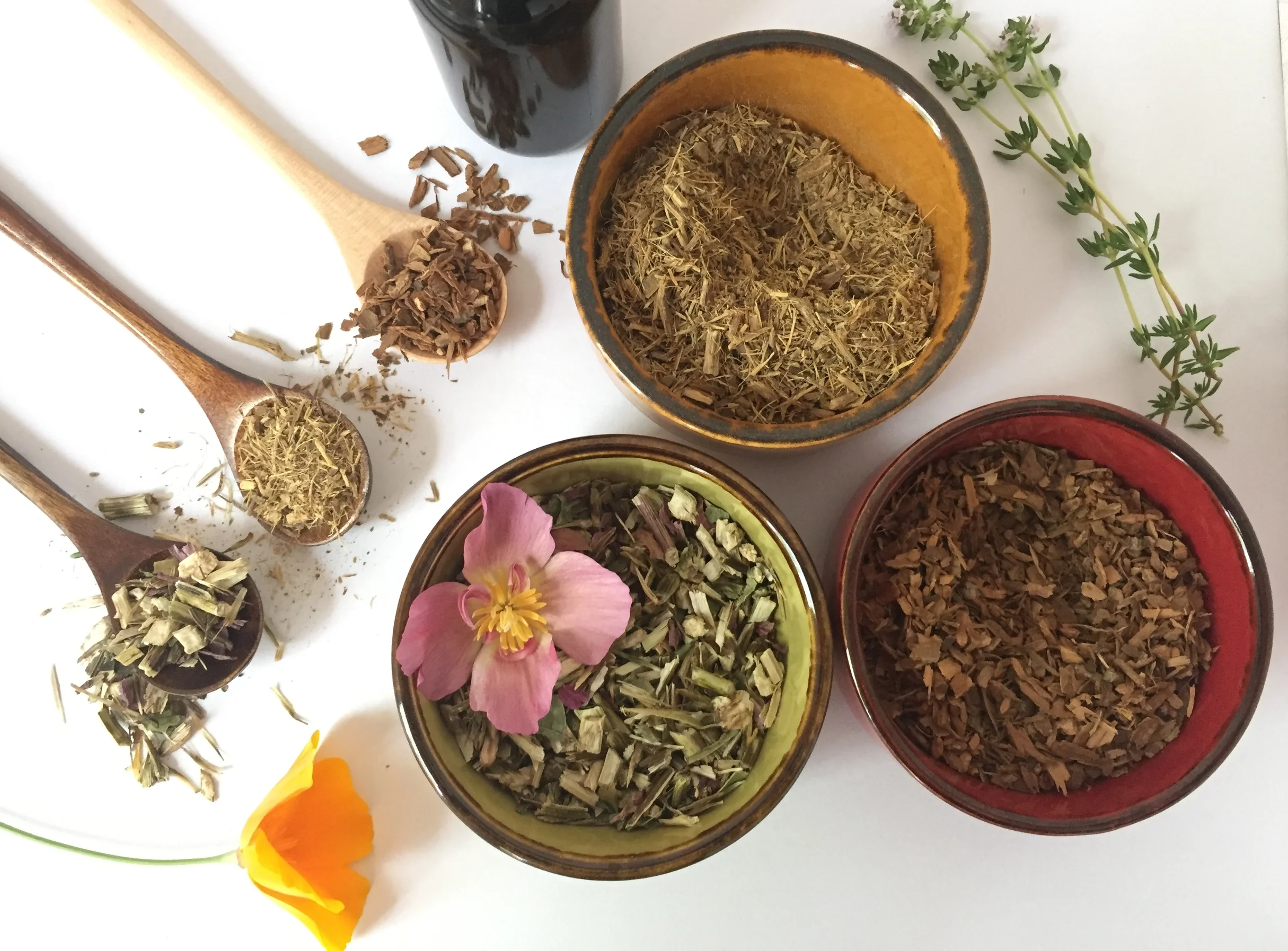 My top 10 herbs & nutrients for PCOS