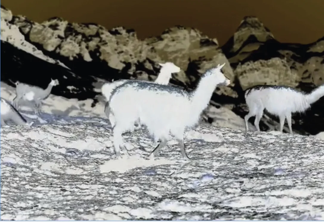 Screen Shot 2017-12-04 at 8.49.04 AM.jpg