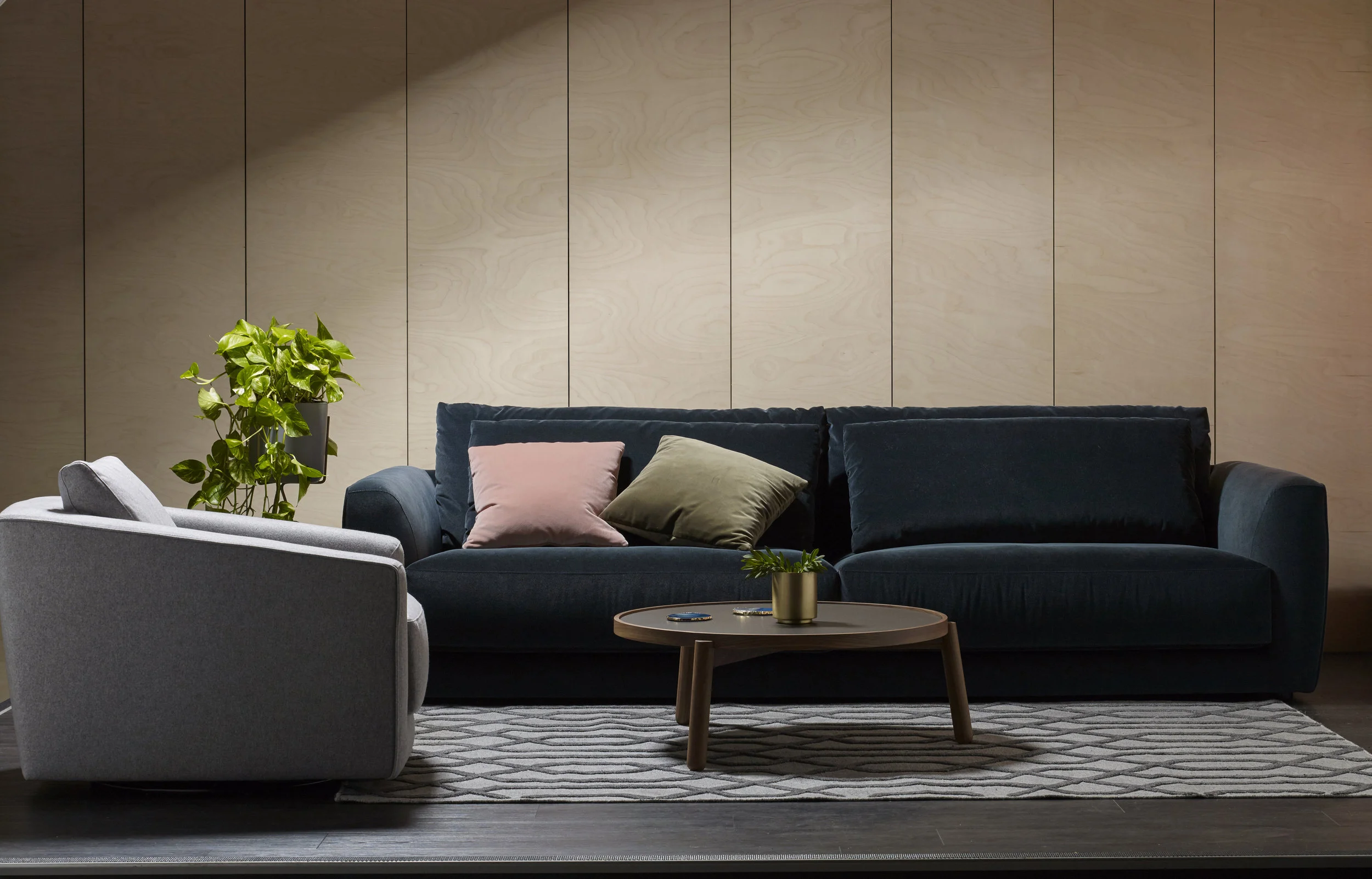 Molmic sofas retail — Adelaide Agencies