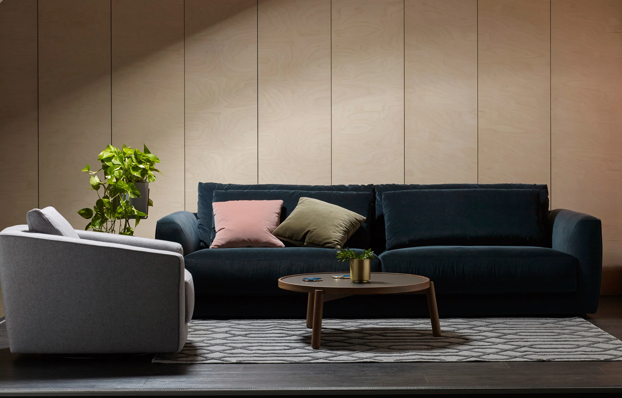 Molmic sofas — Adelaide Agencies