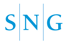 SNG Consulting, LLC