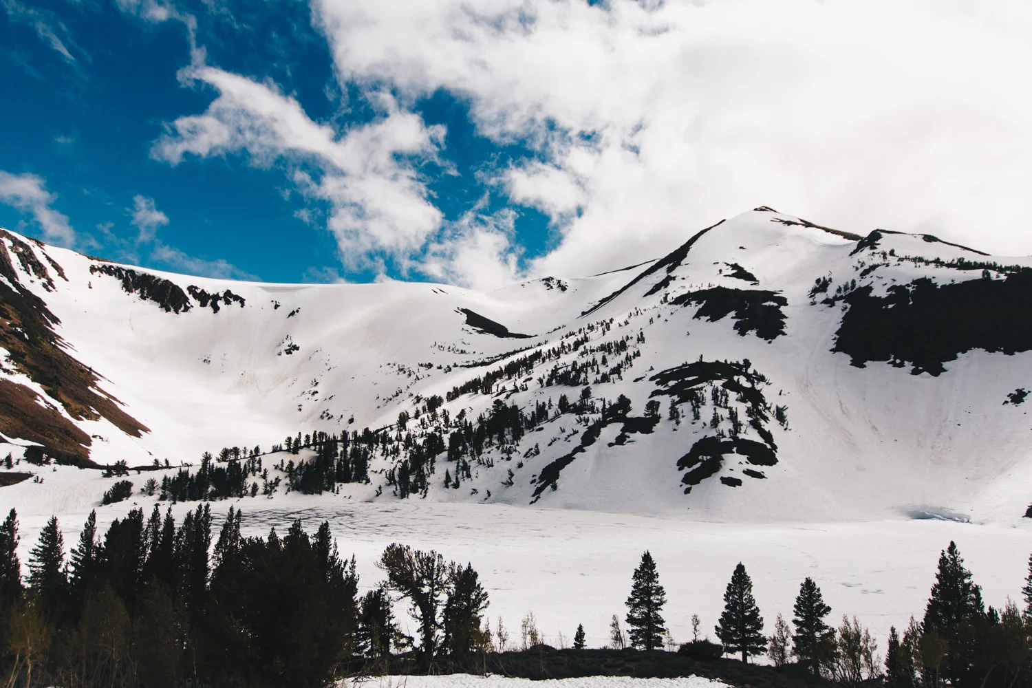 _MG_0004-1.jpg