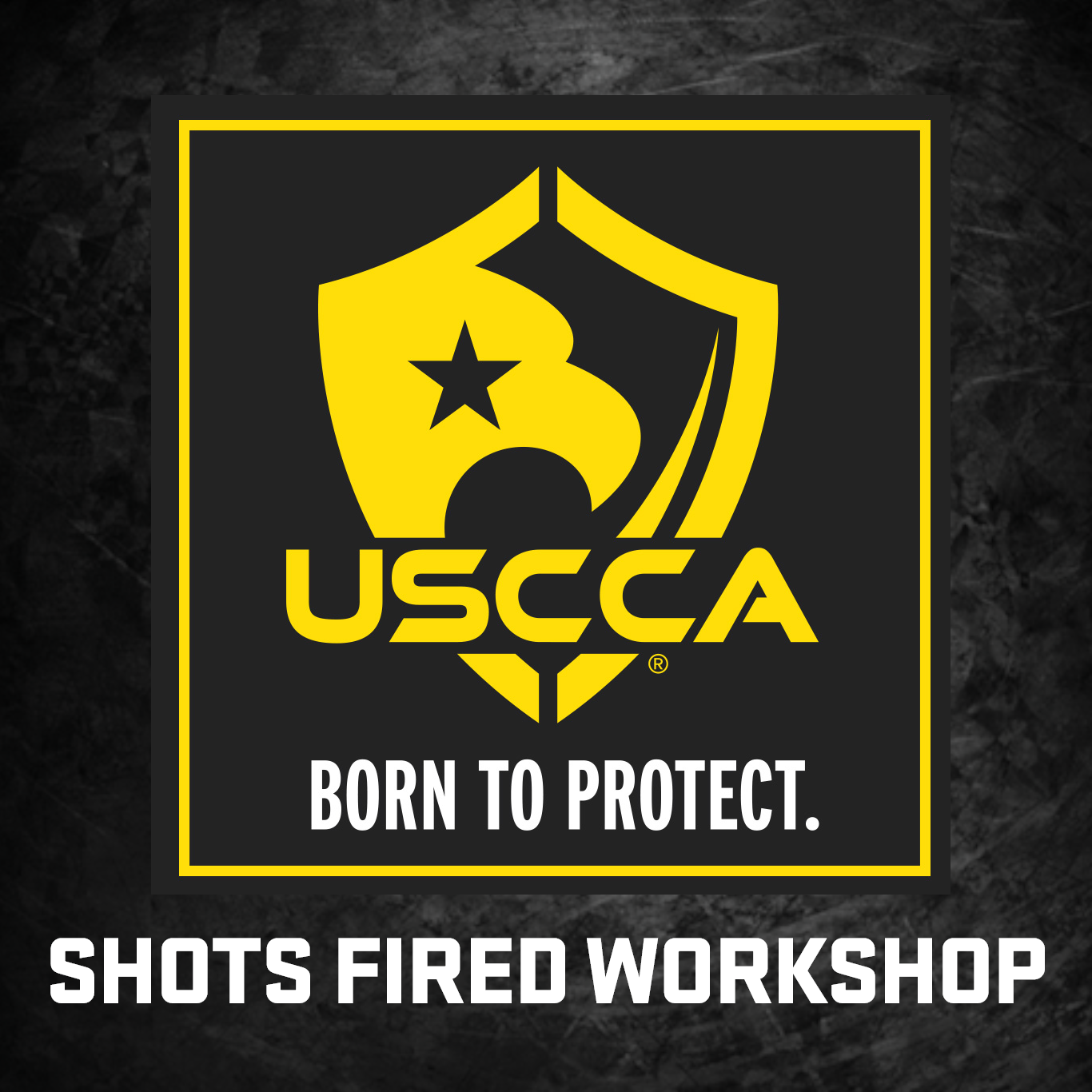 Shots Fired Workshop