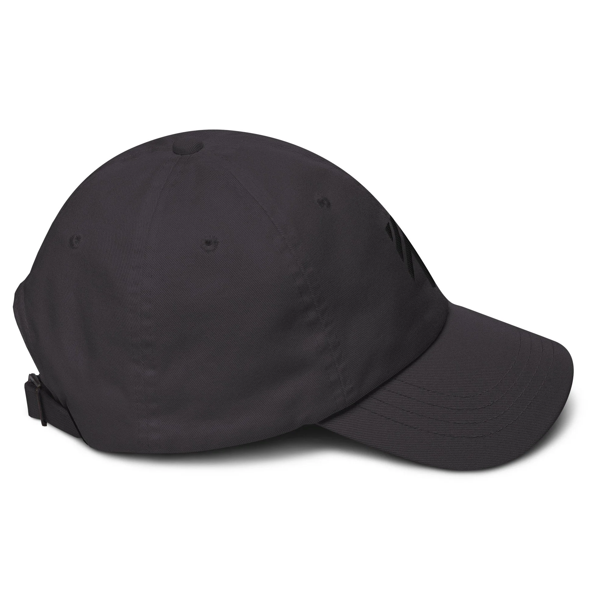 classic-dad-hat-dark-grey-right-667ca85ed2fdb.jpg