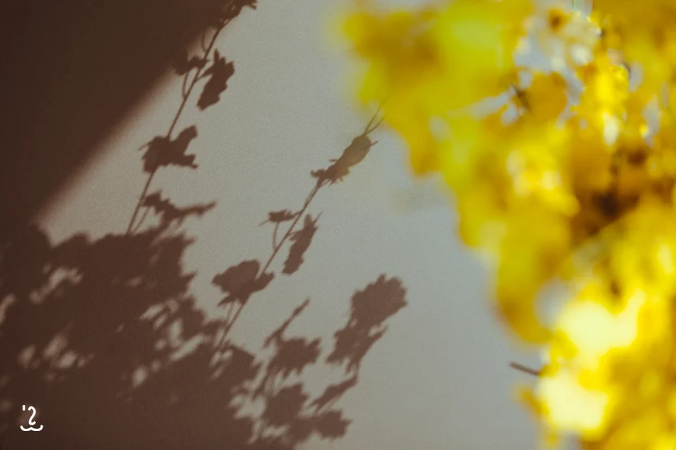 flower.jpg