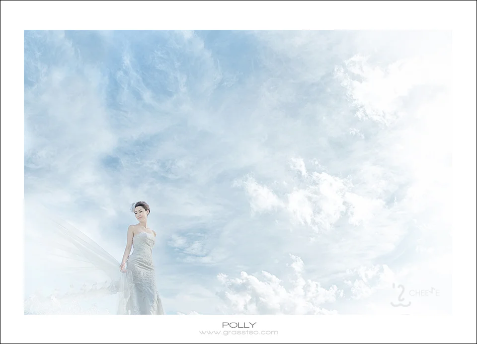 Category of Bride or Groom Alone “Accolades of Excellence”