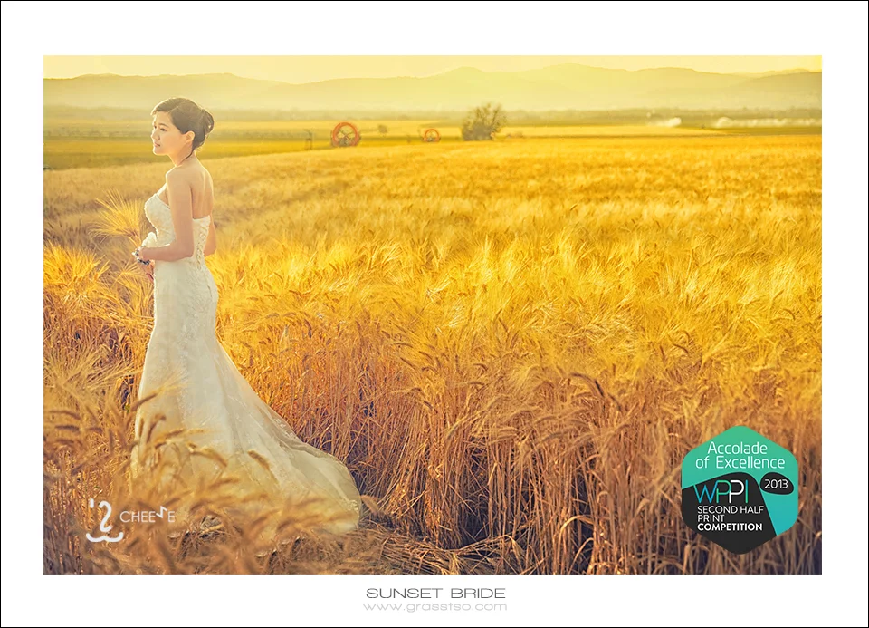 Category of Bride or Groom Alone “Accolades of Excellence”