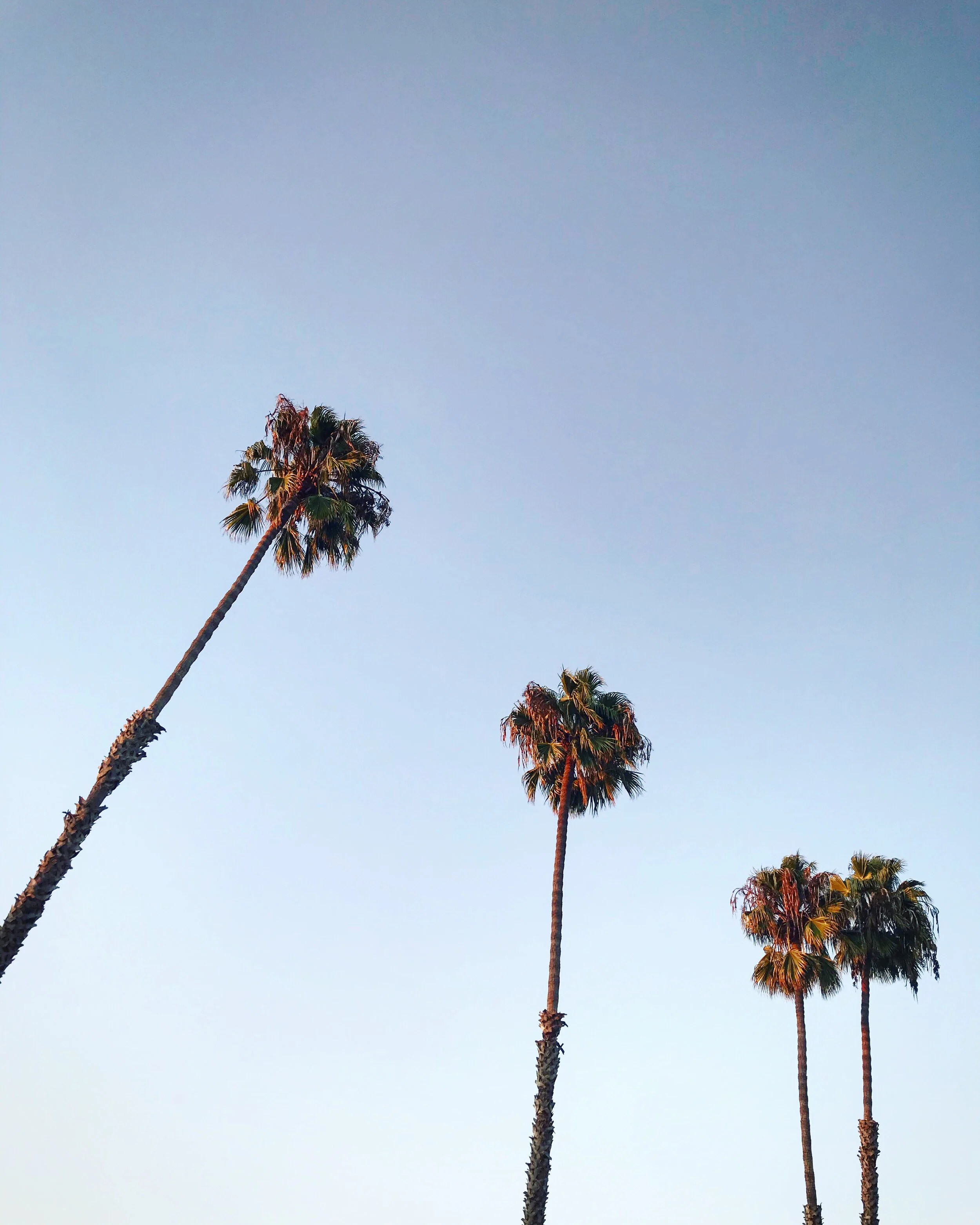  Marina Del Rey, 2019 