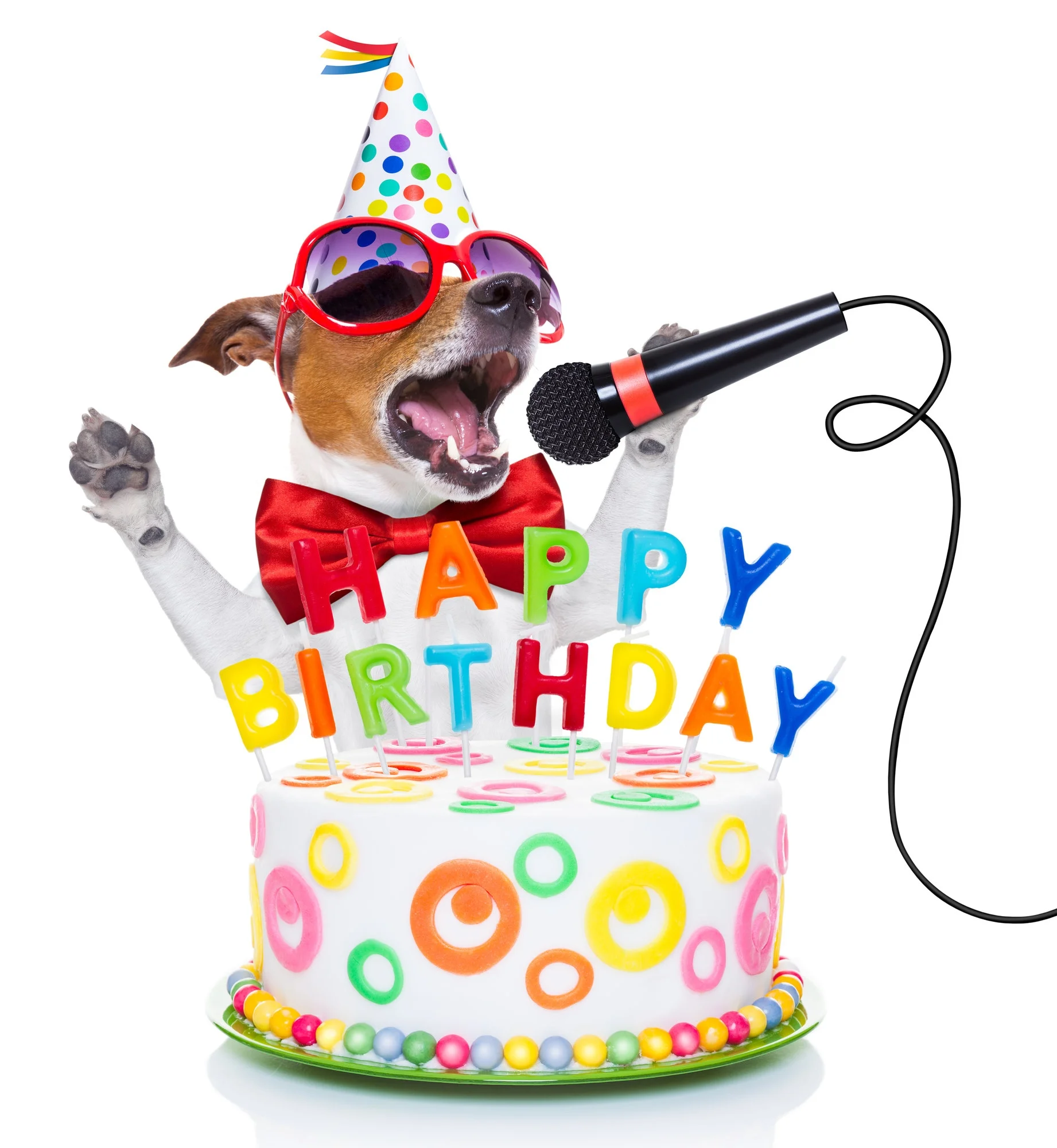 shutterstock_278024396.jpg