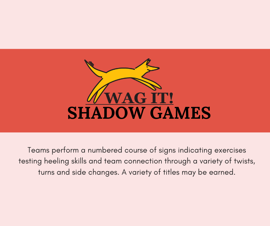 Copy of shadow games.png
