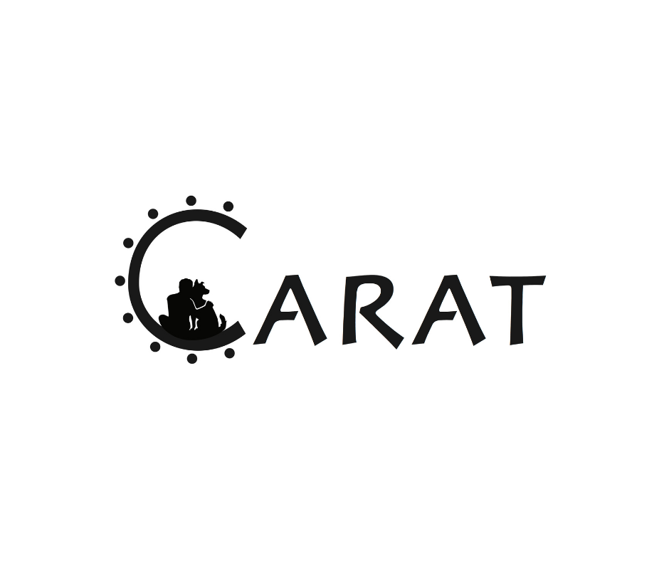 Untitled design (77).png