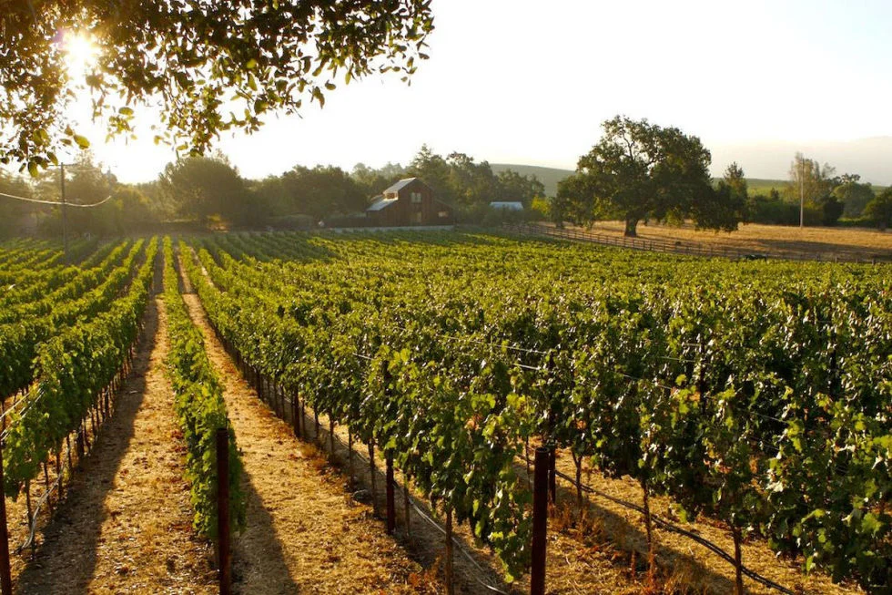 Travel: Eat.Drink.Repeat. Your Ultimate Wine Country Escape