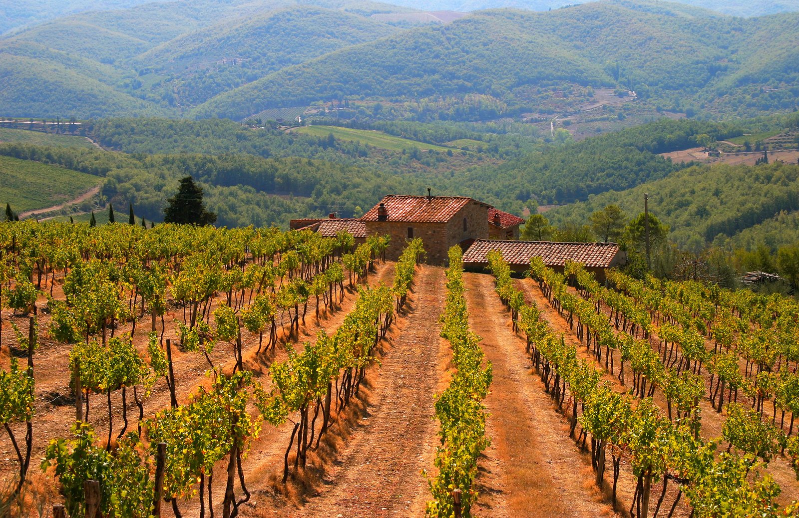 Better Than Champagne? 5 Pet-Nat Sparkling Wines to Try Now