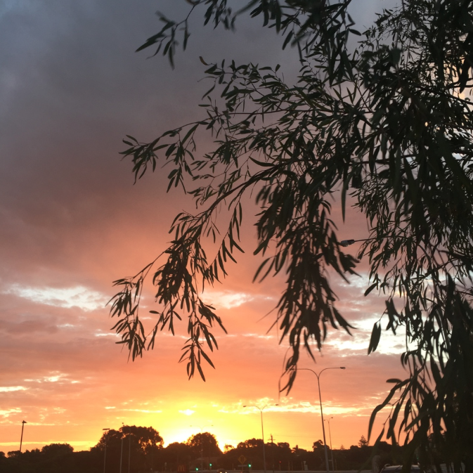 The photo I took of the sky, the night Sage arrived...