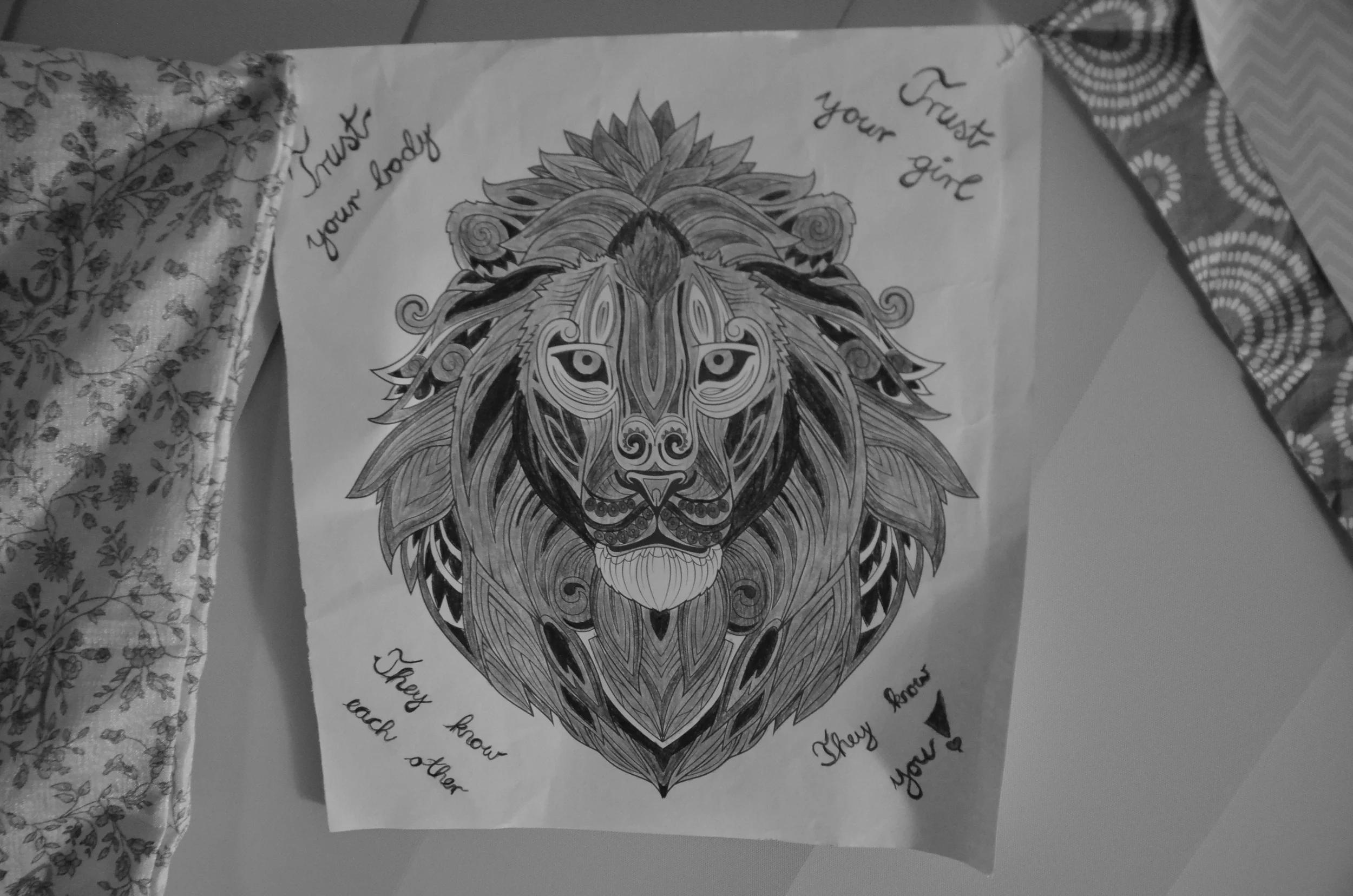 One of my prayer flags from the Blessingway - with a lion, my totem animal.