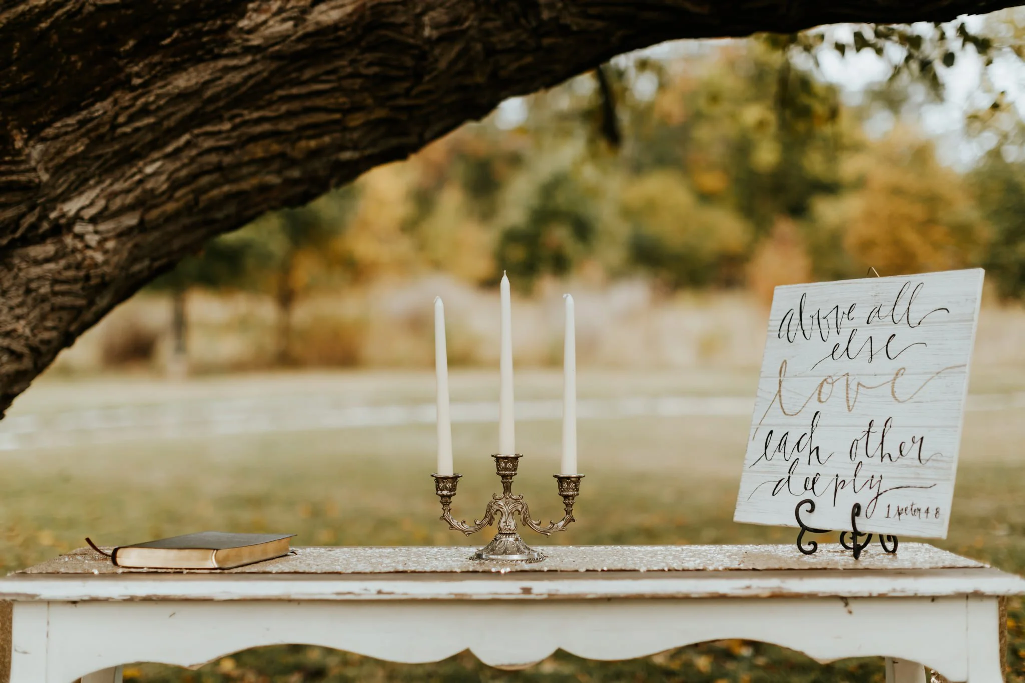 17-09-15 Lindsey and Brandon Wedding Edited-75_WEB.jpg