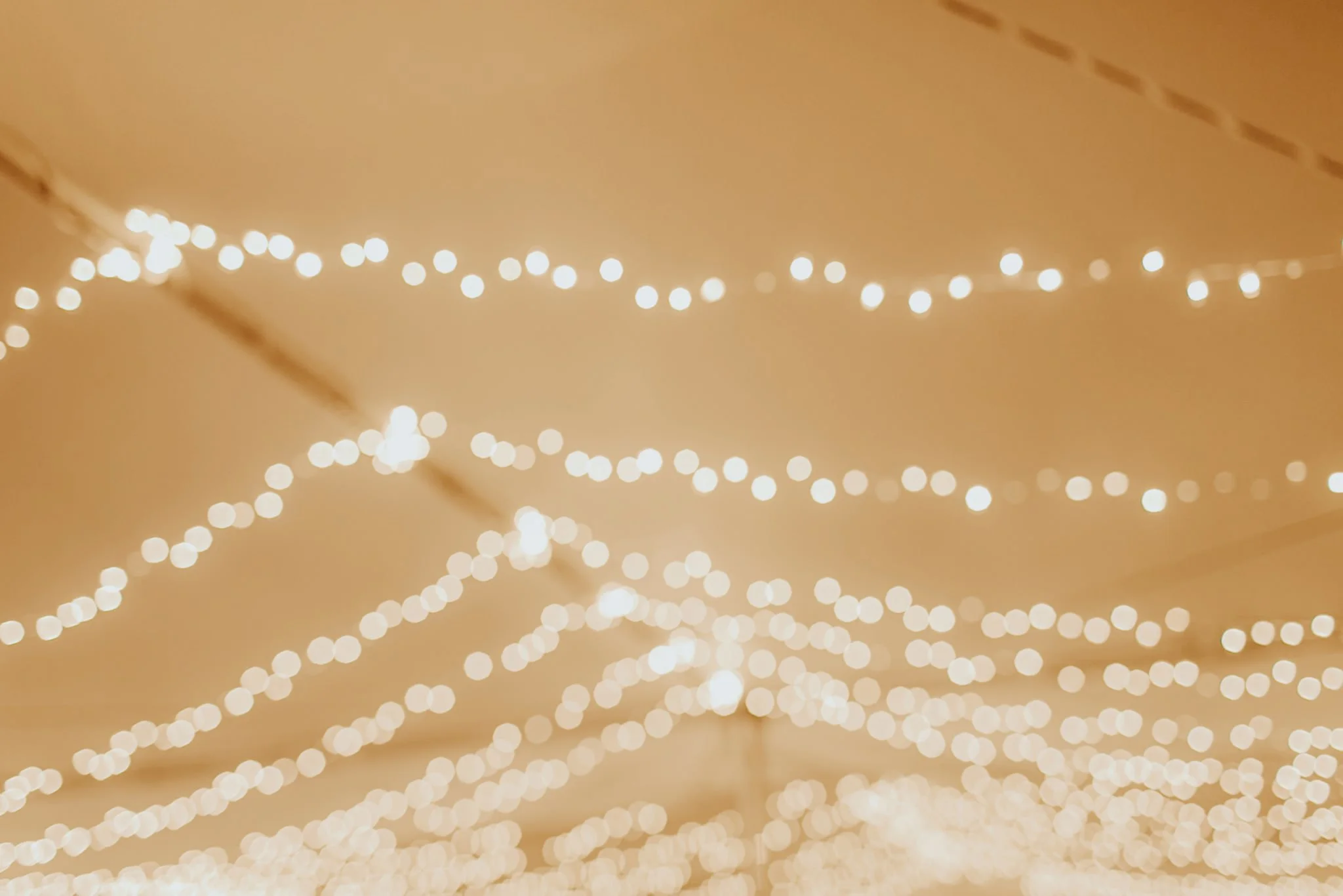 17-09-15 Lindsey and Brandon Wedding Edited-970_WEB.jpg