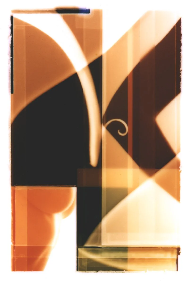 torso & flower petal graham.jpg