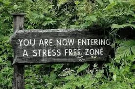 stress.jpg