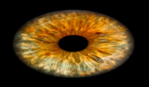 eyes.jpg
