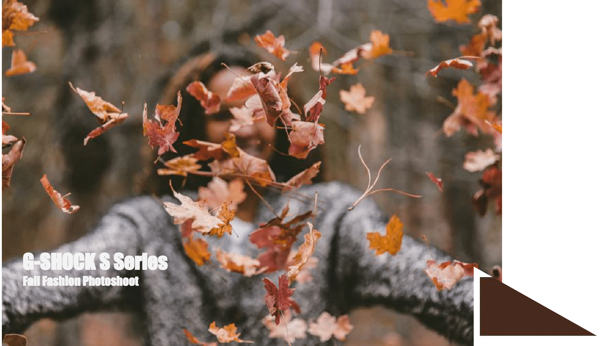 Casio Fall Moodboard-01.png