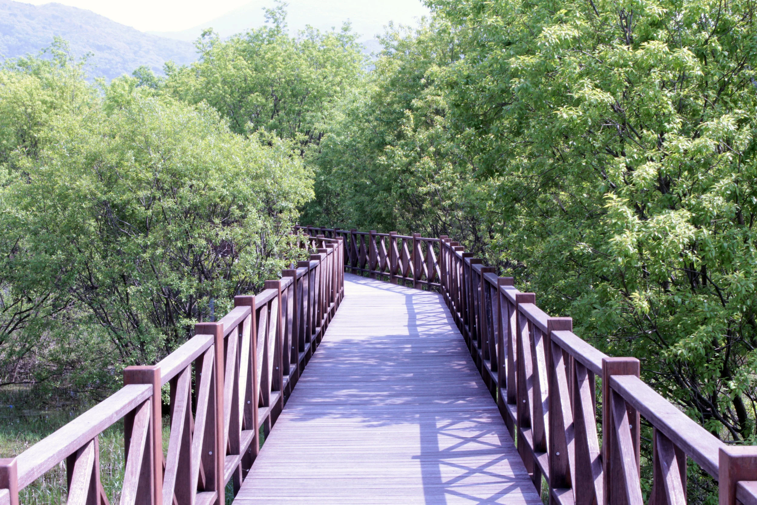Bridge