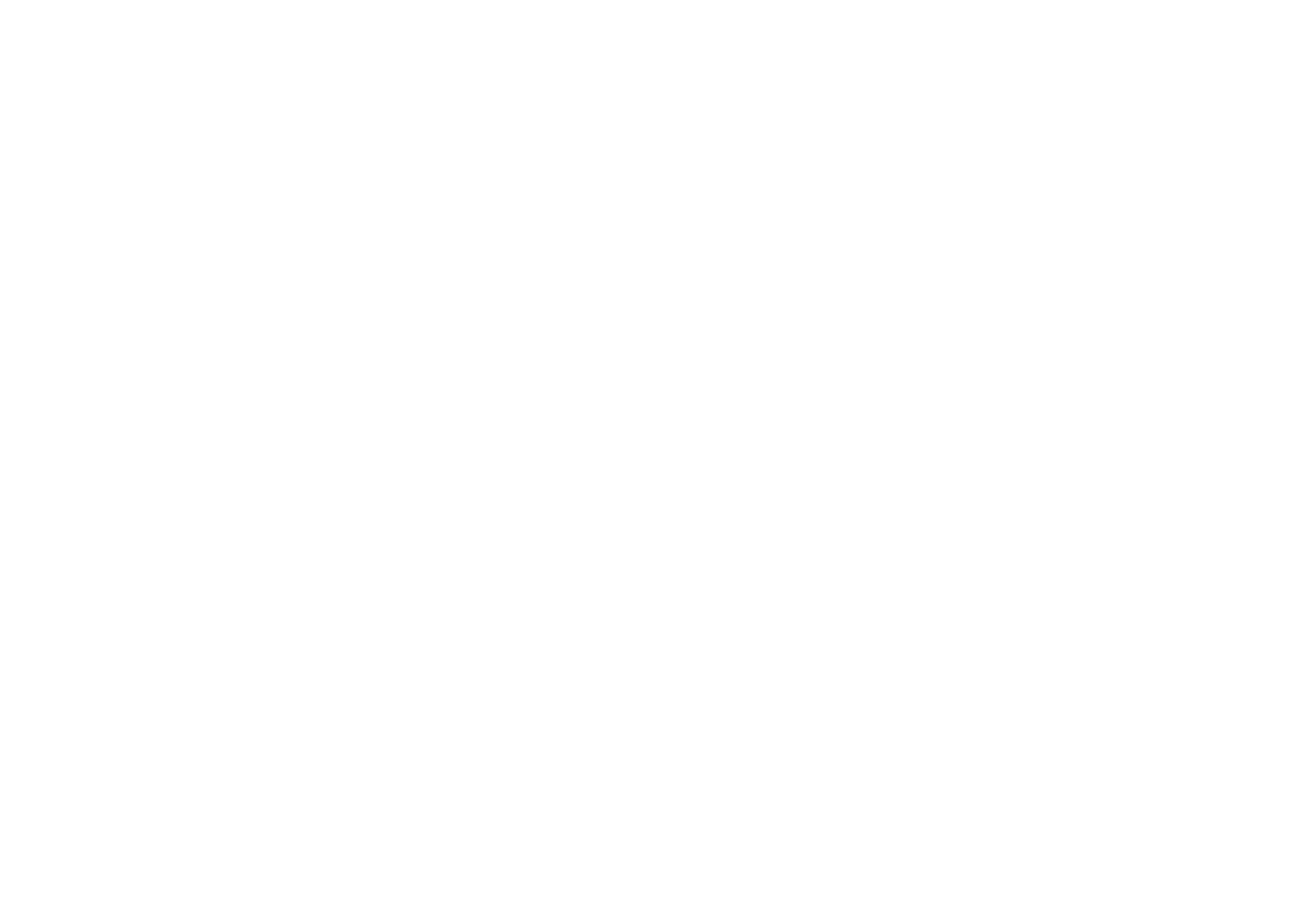 FLaunt.png