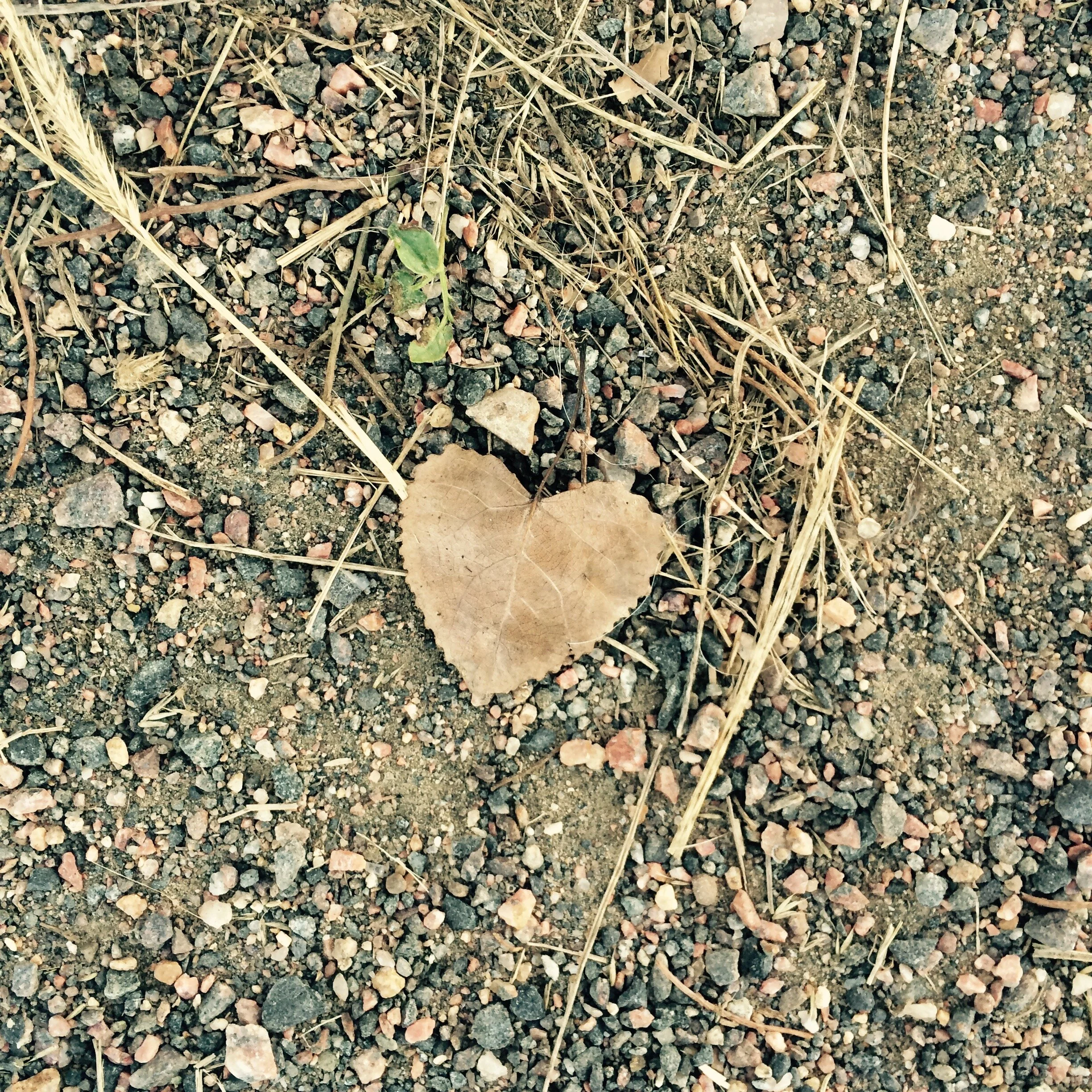 Sacred Ritual: Practices to Feed your Daily Life