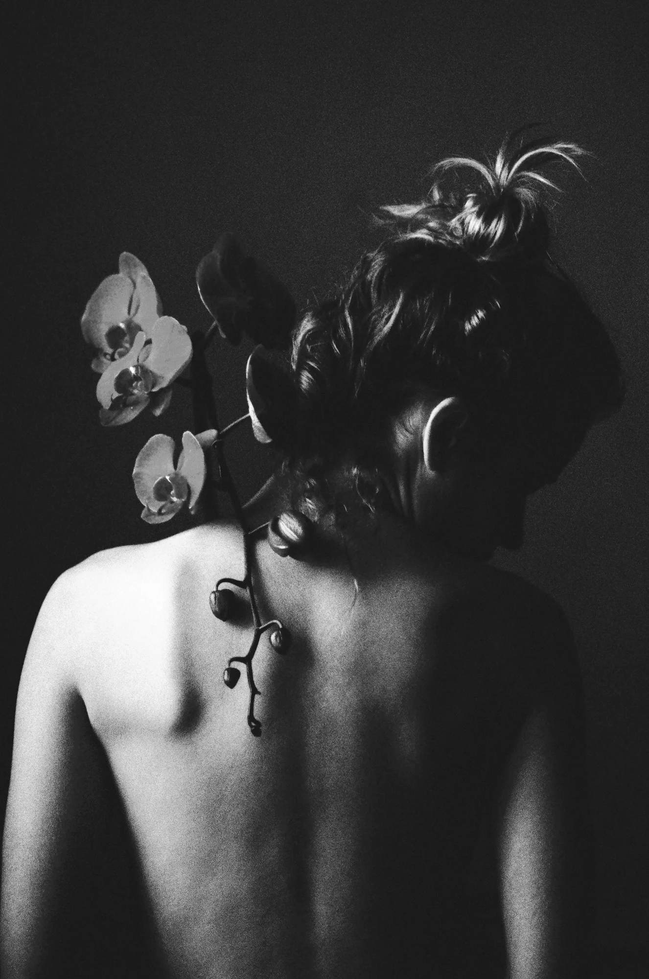 000029110003_BW.jpg