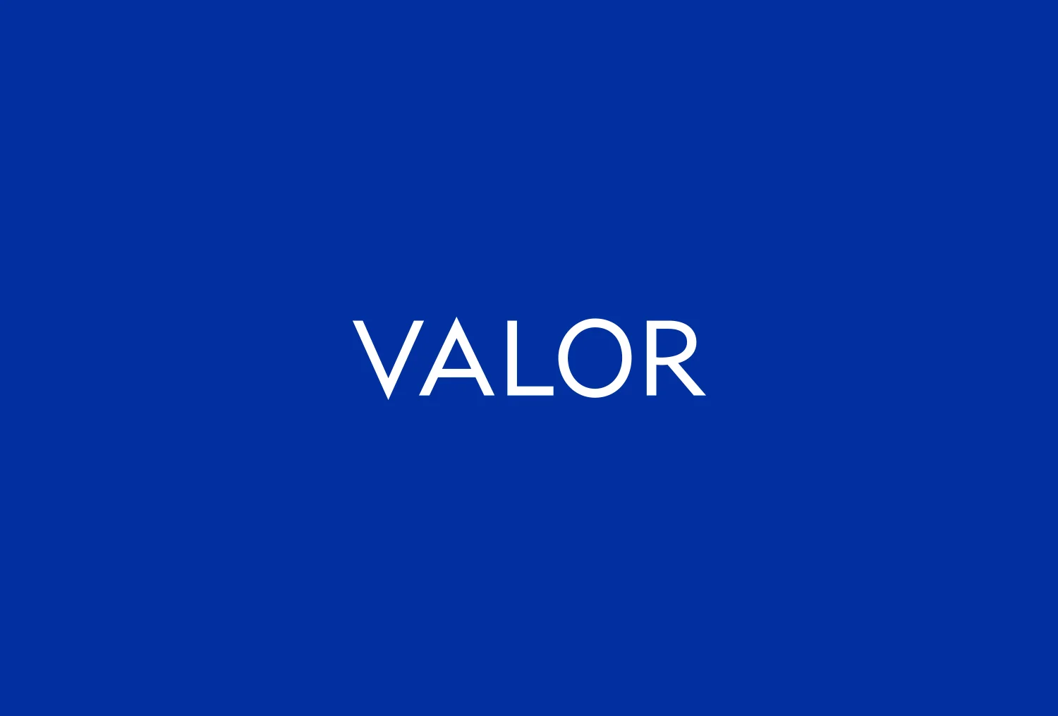 Valor_Logo.jpg