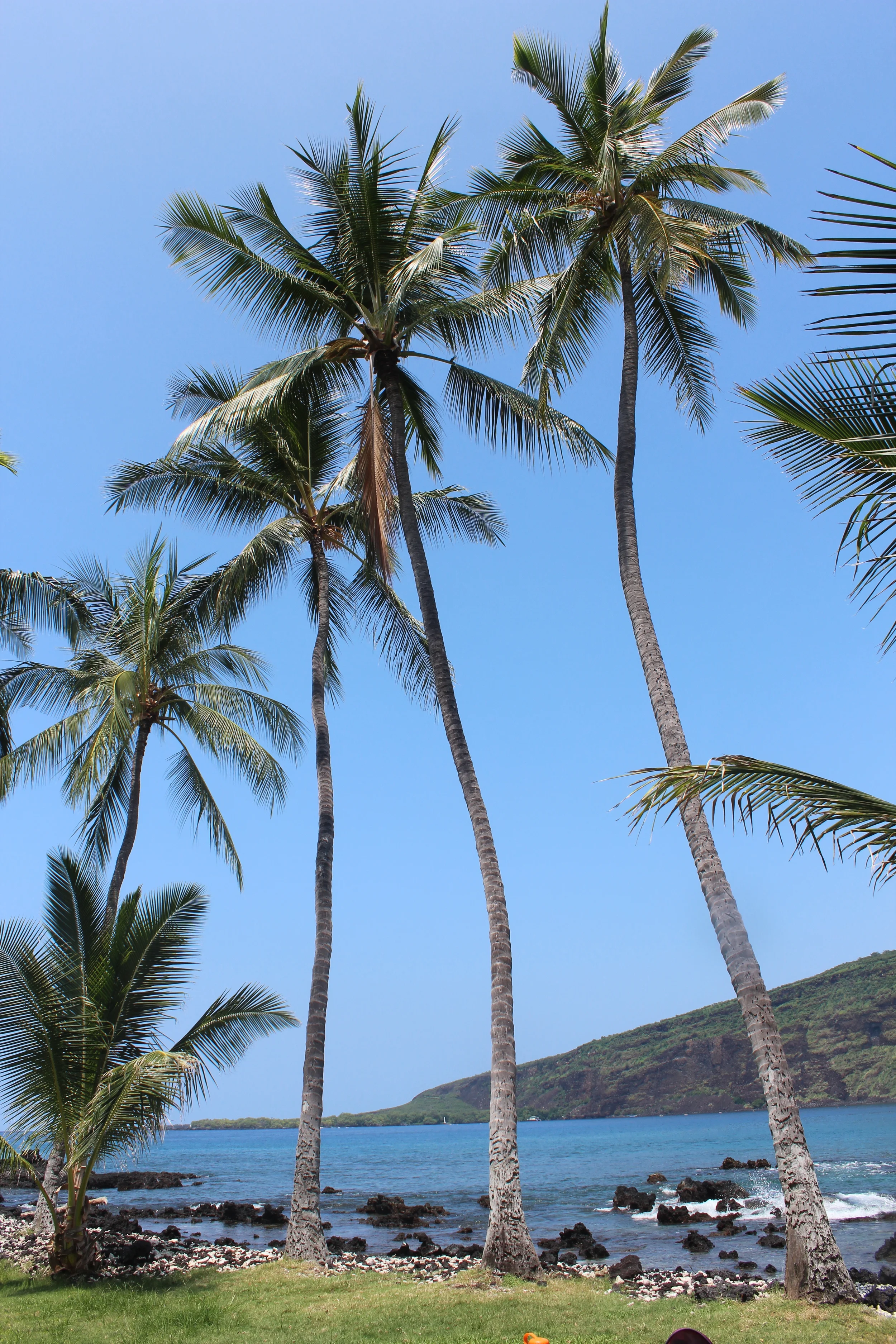 yeah, it's pretty great here