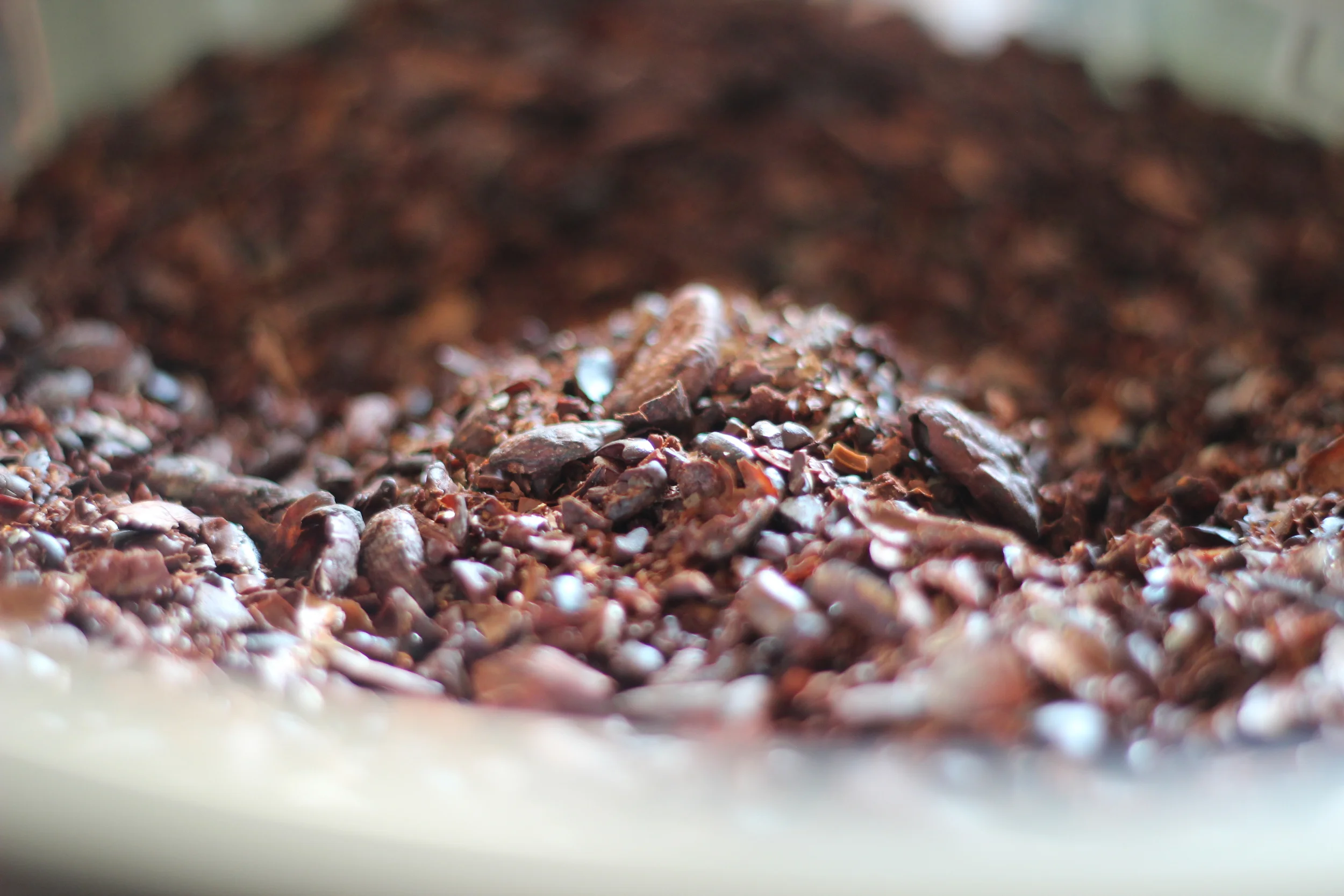 shells and nibs out of the CRACKANDSTEIN