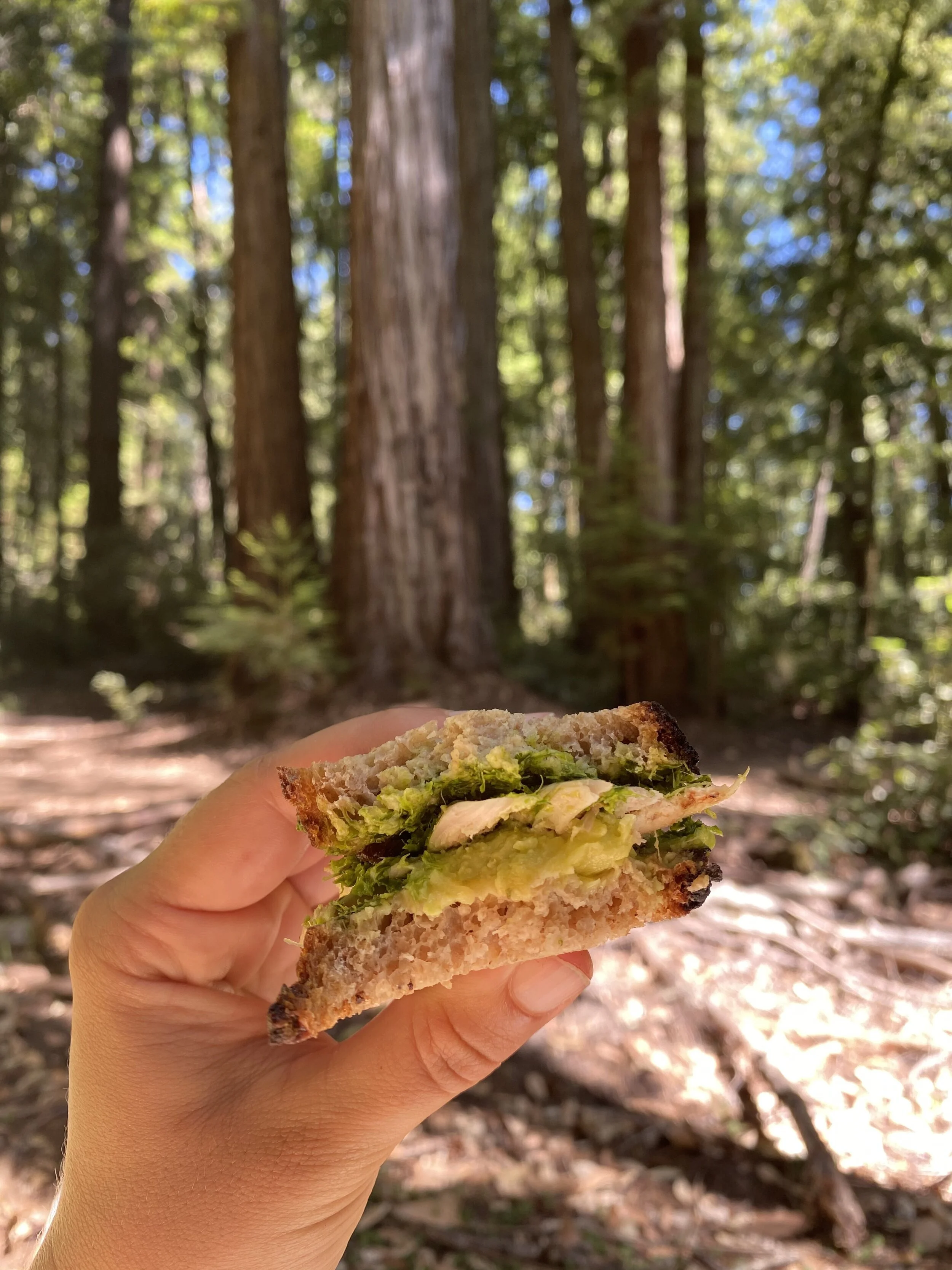 the "diet" I live by