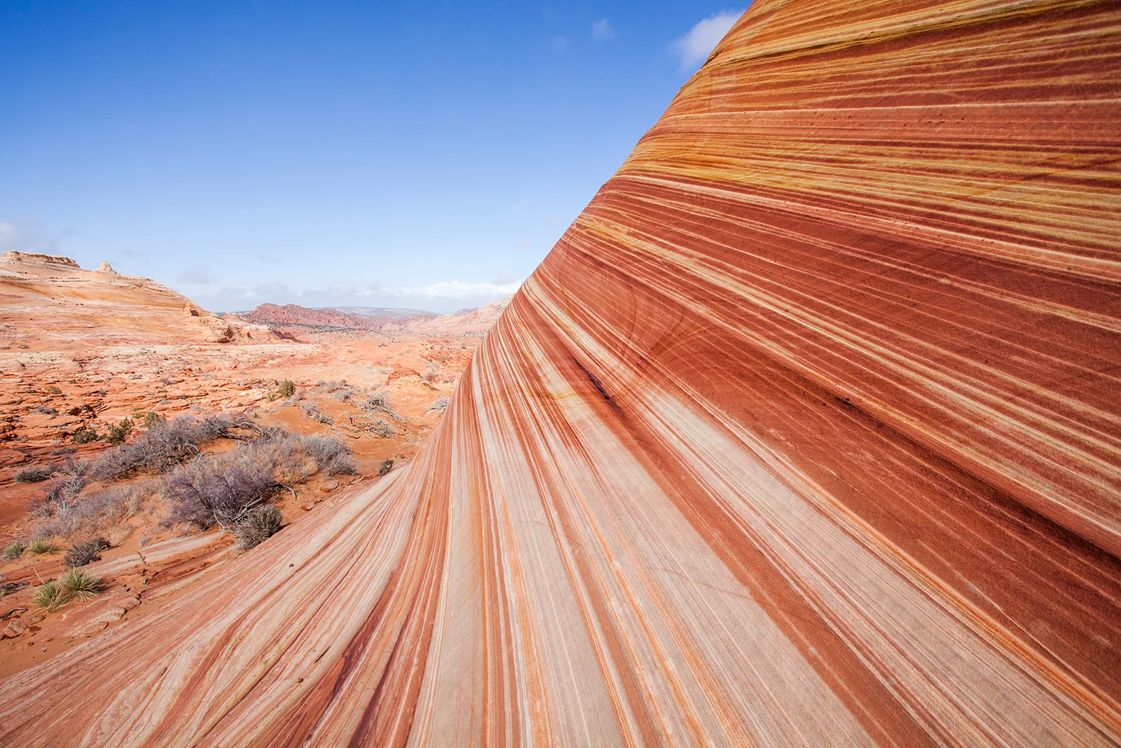 Coyote Buttes North