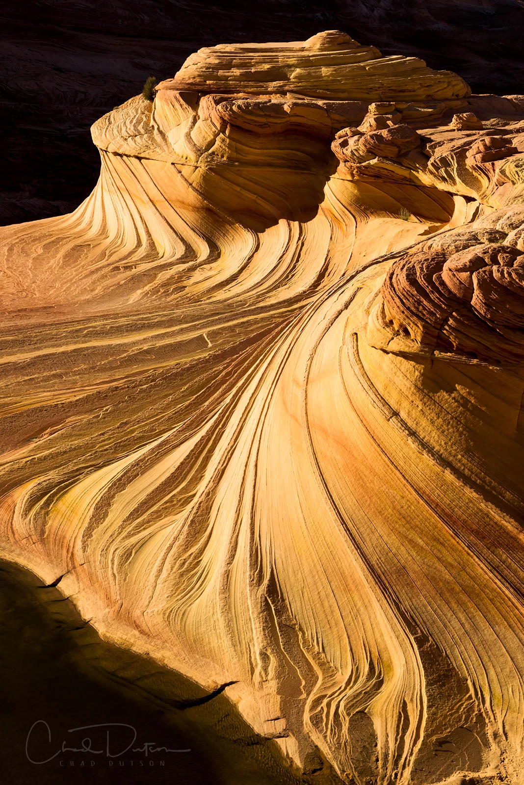 Coyote Buttes (c) Chad Dutson