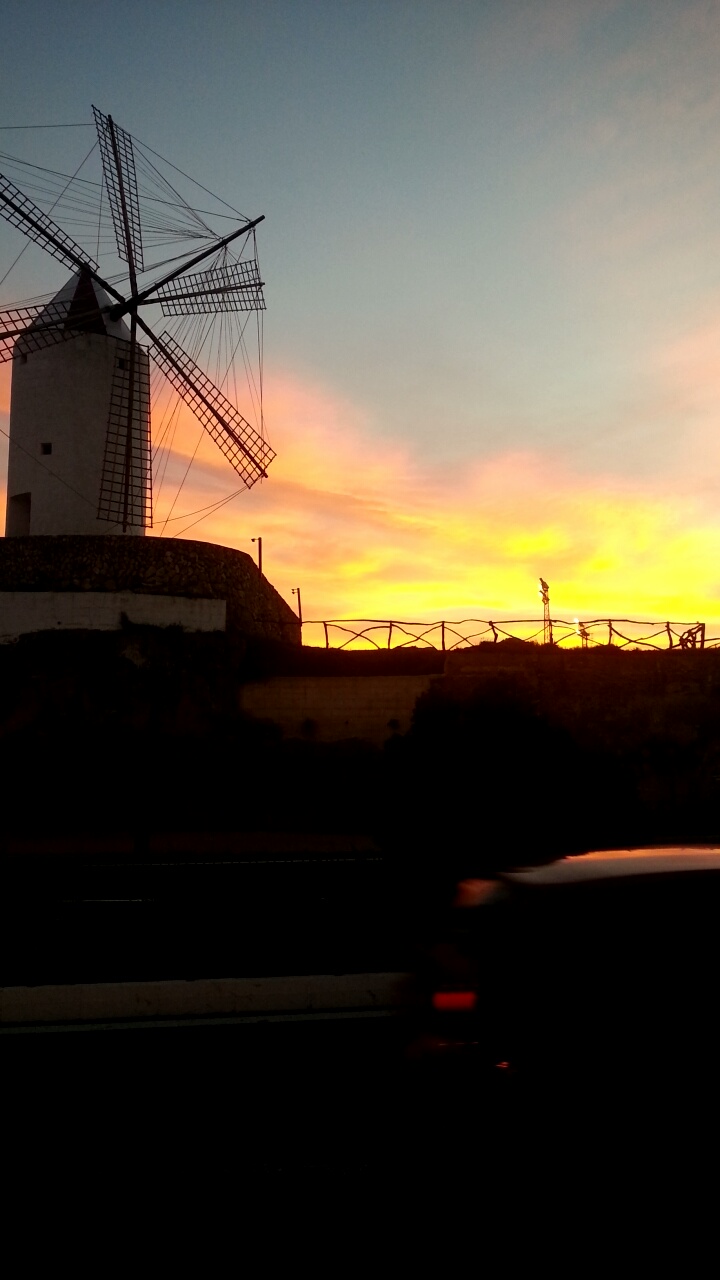  Windmills (x2) spotted in Es Castell 