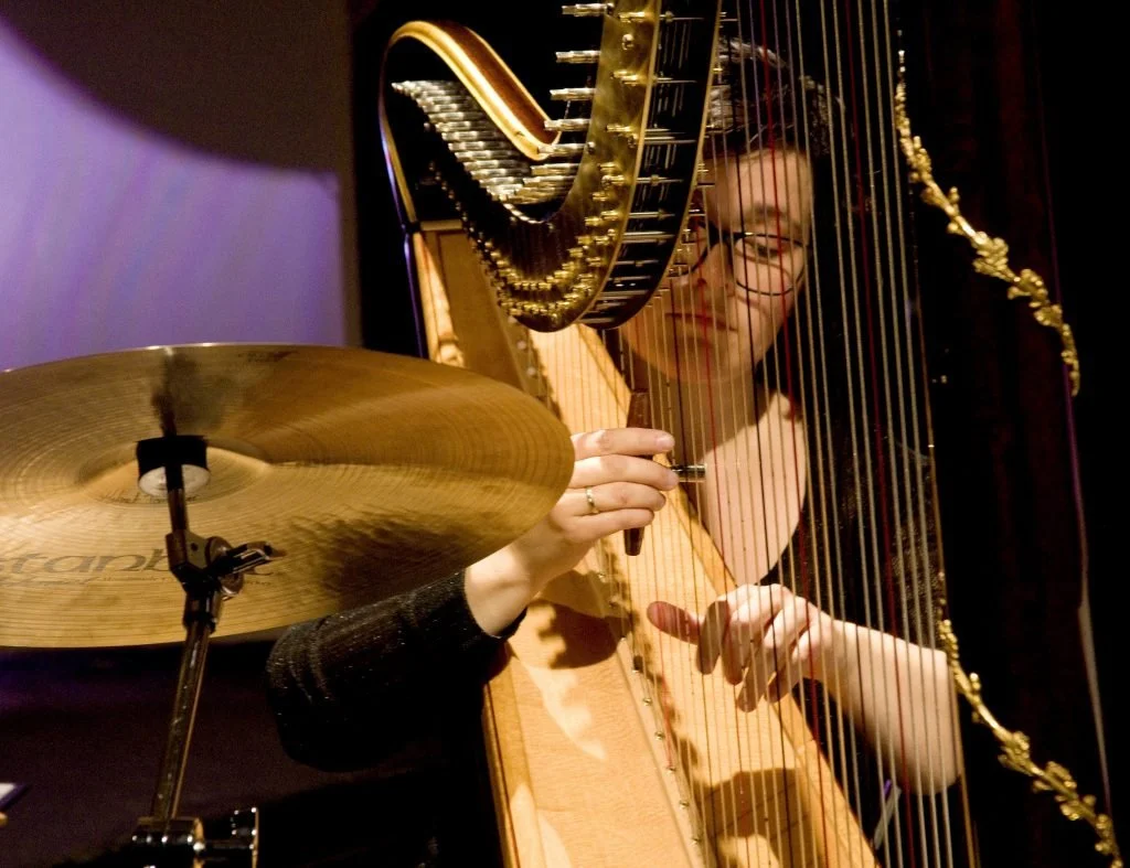 Concert: Perma Trio