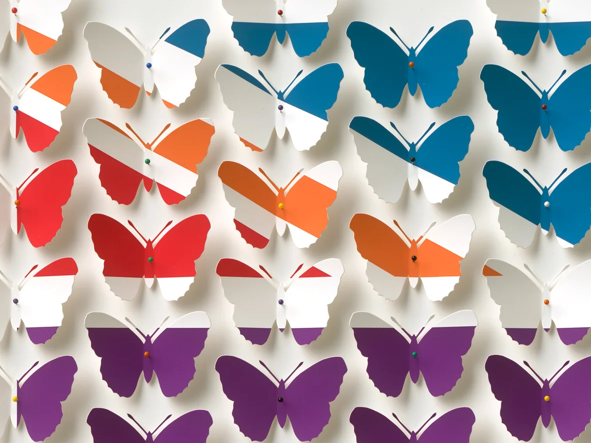 Butterfly crop.jpg