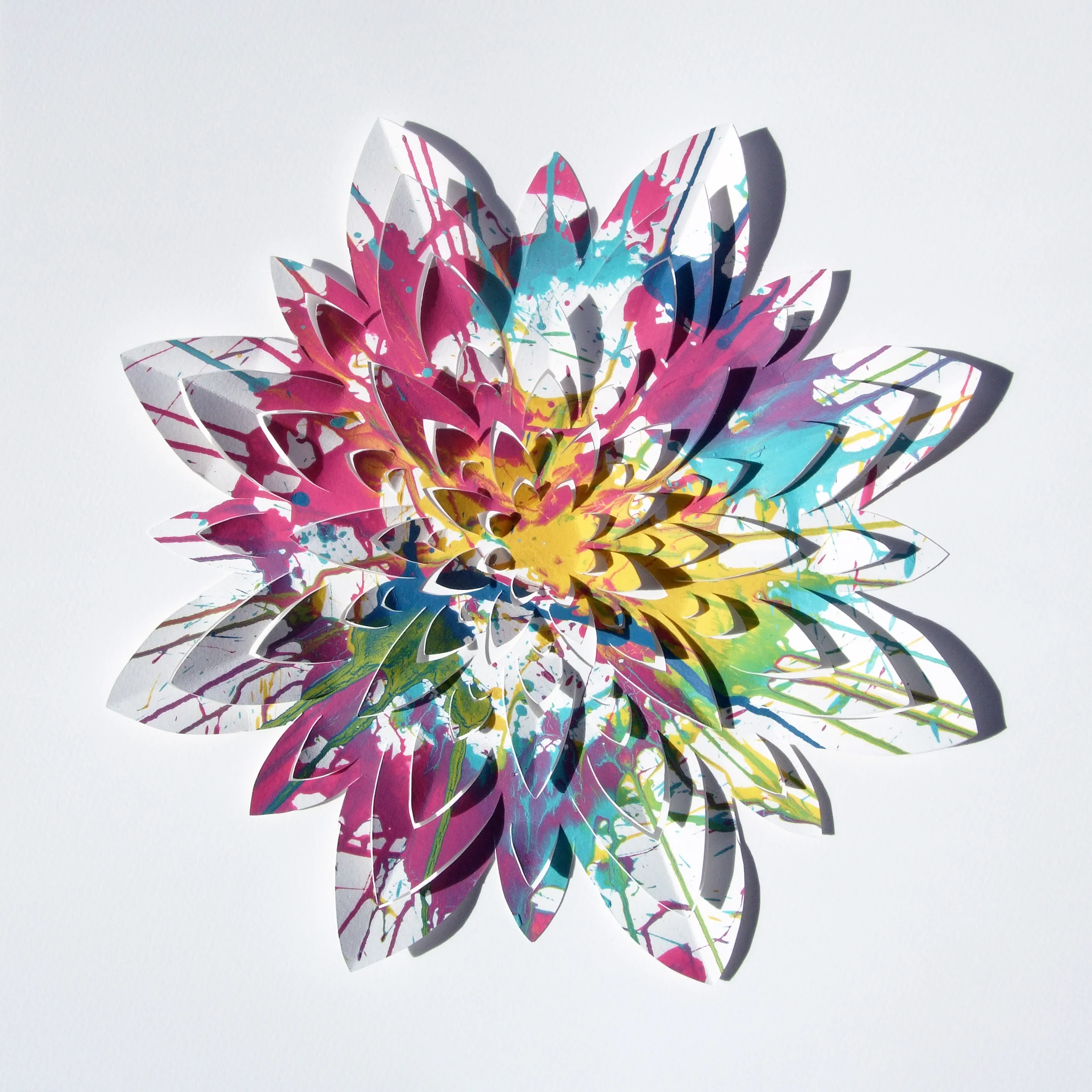 Cut Flower - 1.jpg