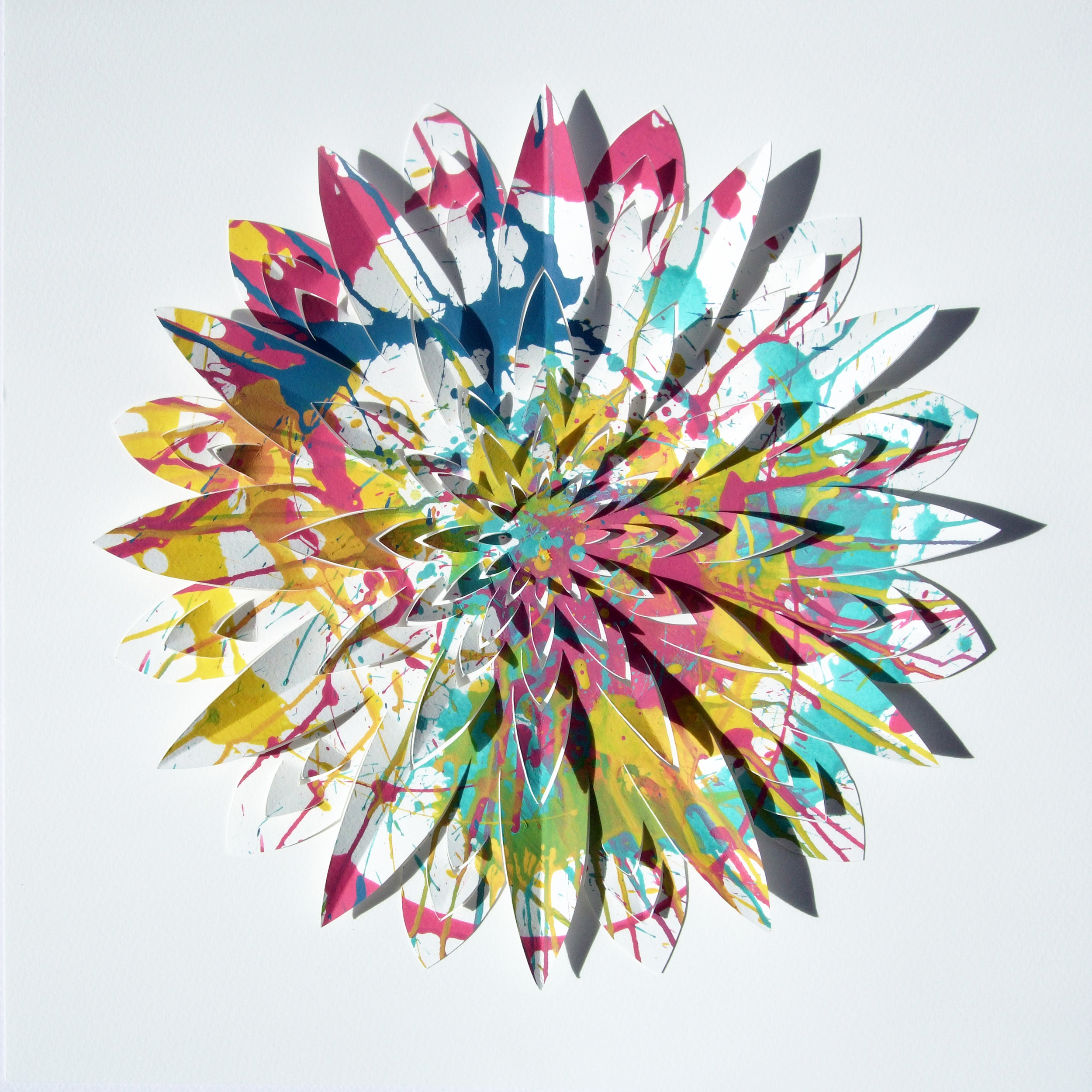 Cut Flower -2.jpg