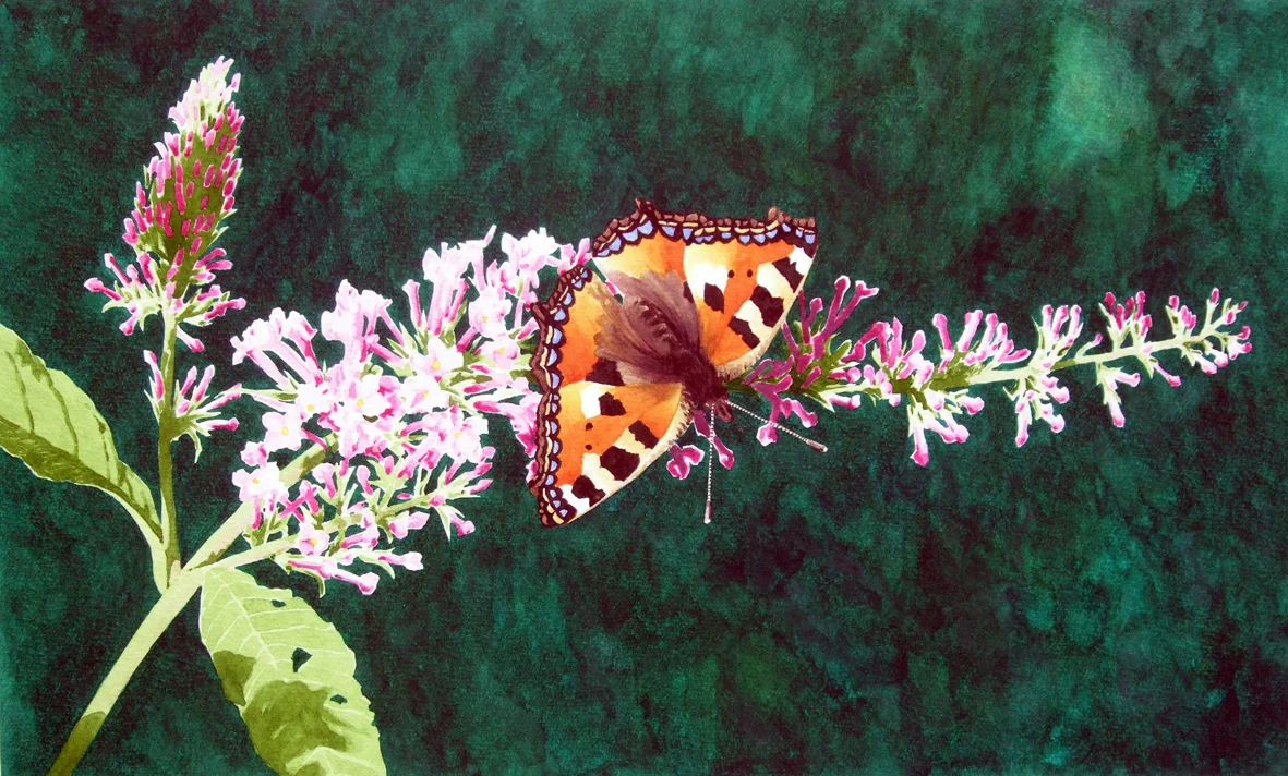 Tortoiseshell-40 x 68cms-Watercolour Painting.jpg