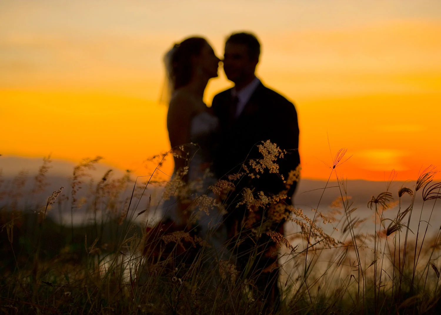 imagism_photography_by_paulcincotta_20110416175516.jpg