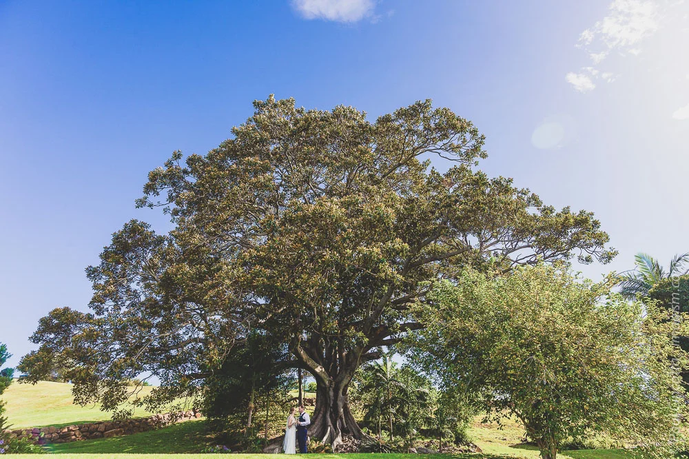 The Wedding Celebration of Craig & Sam by Wedding Photographer Paul Cincotta at Summergrove estate Carool NSW Australia