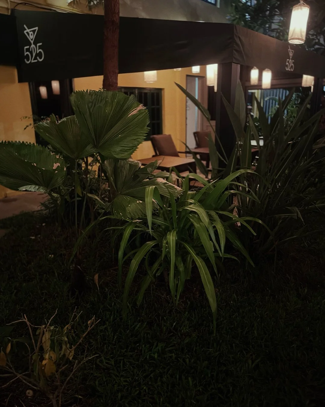 Your table is outside. 🌿
The kind of evening that starts here.
Round up your friends - reserve via link in bio.