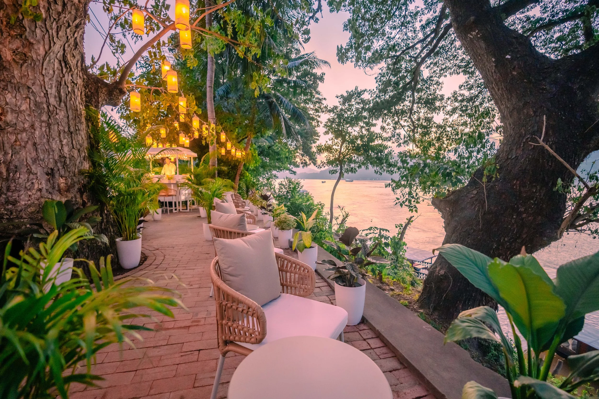 Copy of DSC01593 (1).jpg